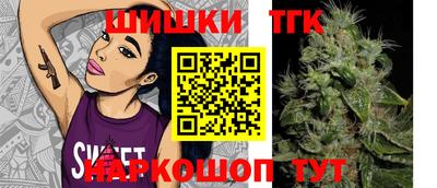 ешки Будённовск