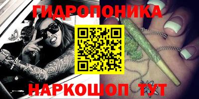 крисы Бузулук