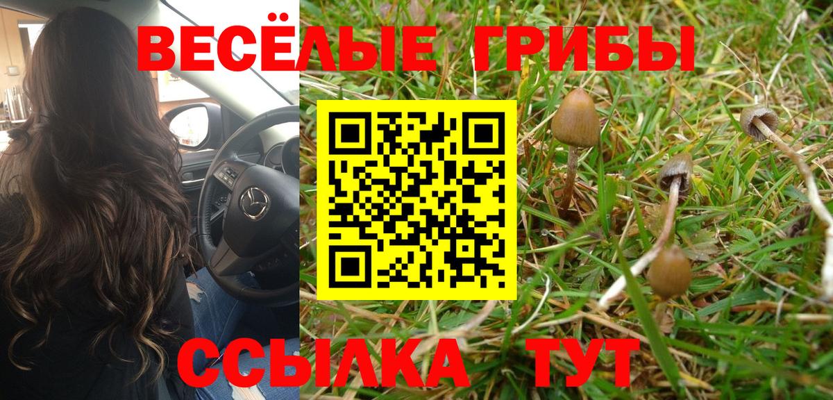 Псилоцибиновые грибы ЛСД  Вышний Волочёк 