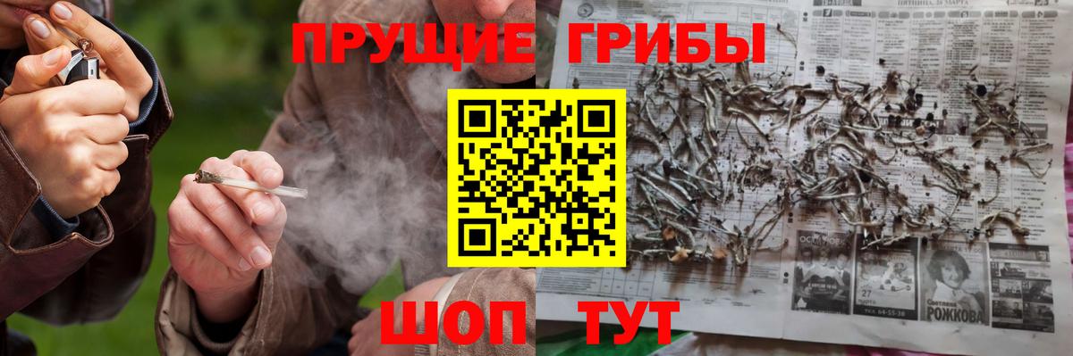 Галлюциногенные грибы мицелий Вышний Волочёк